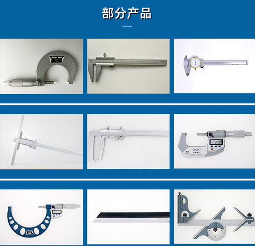 防水数显卡尺订购 防水数显卡尺 天津桂量量具刃具